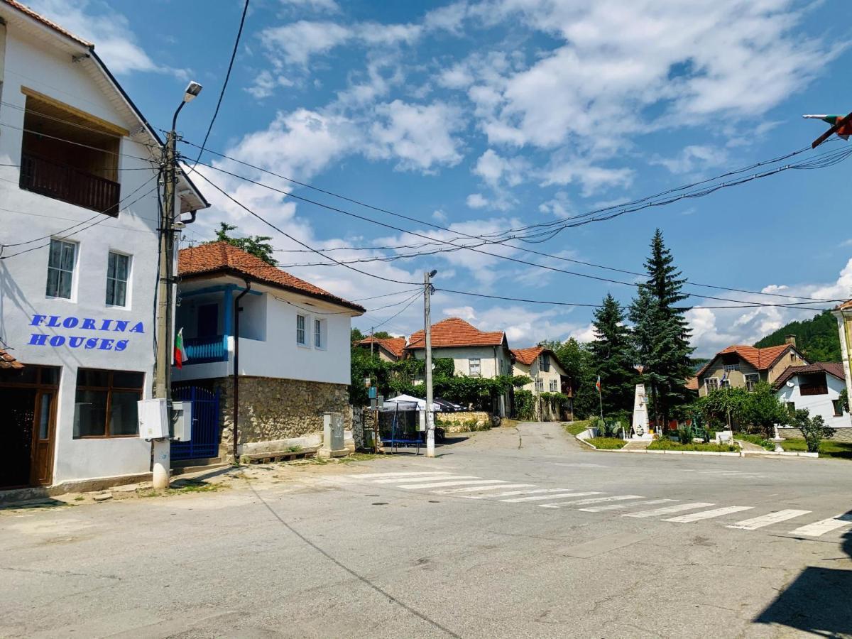 Цяла Ваканционна Къща- Florina Houses 호텔 Goranovtsi 외부 사진